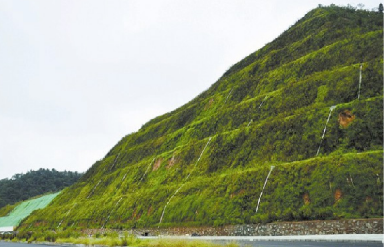 海綿體植物修復生態(tài)護坡